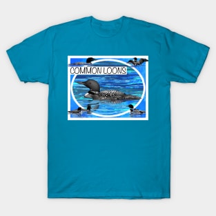 Common Loon T-Shirt